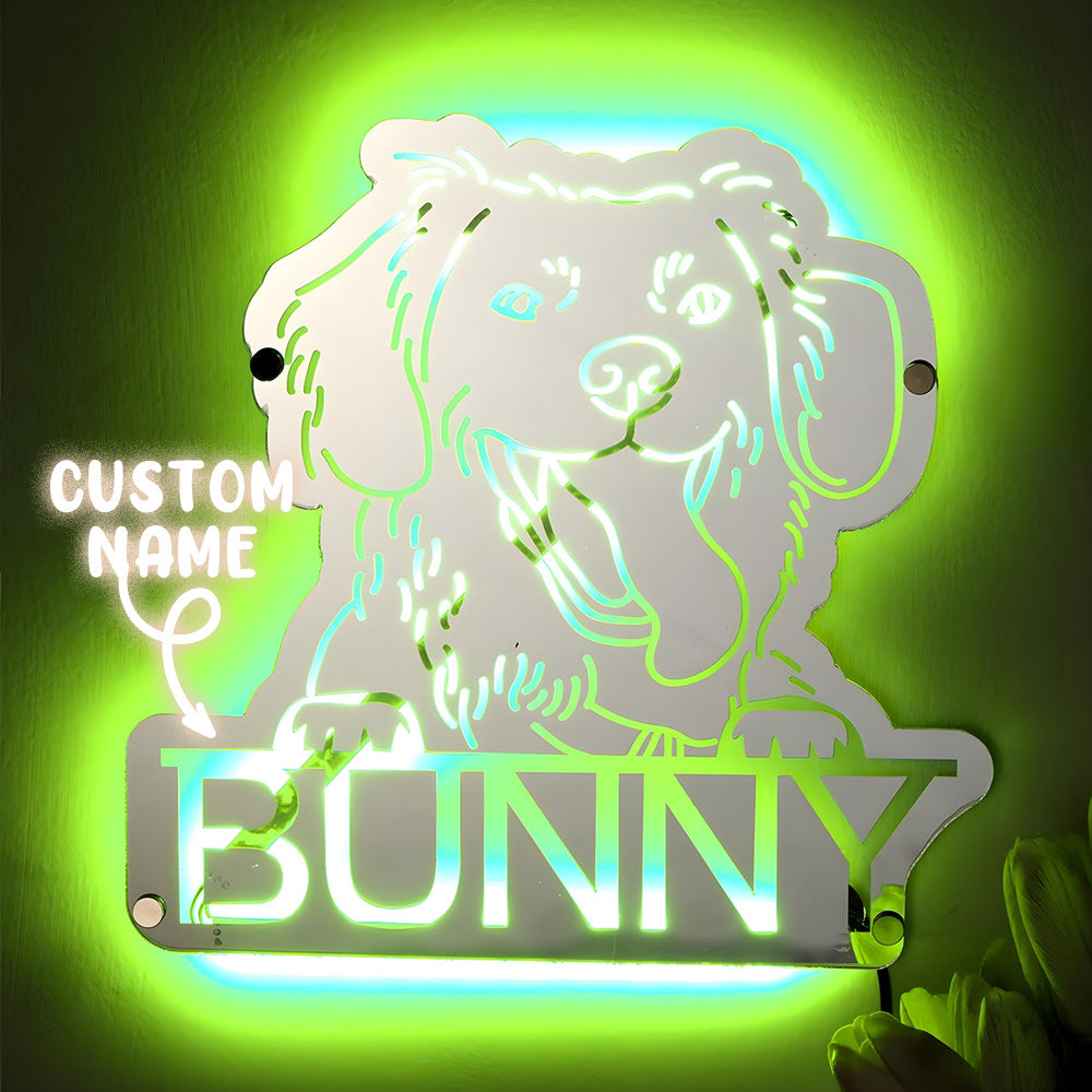 Pet Portrait Mirror Night Light