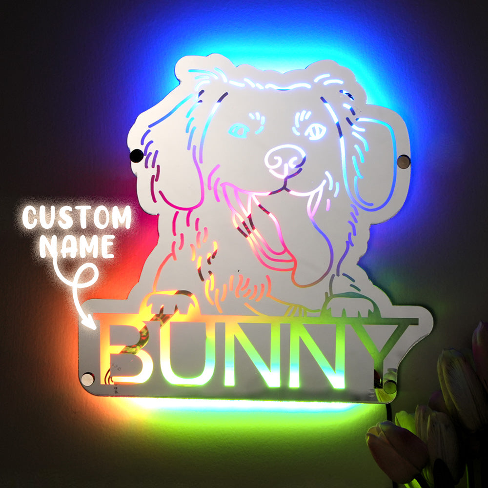 Pet Portrait Mirror Night Light