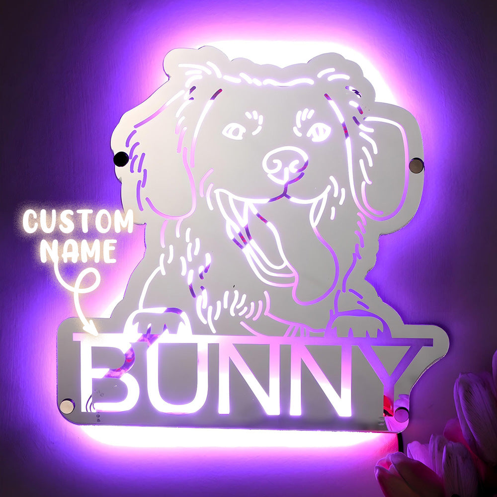 Pet Portrait Mirror Night Light