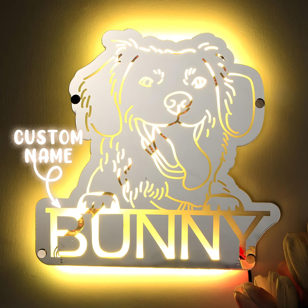 Pet Portrait Mirror Night Light