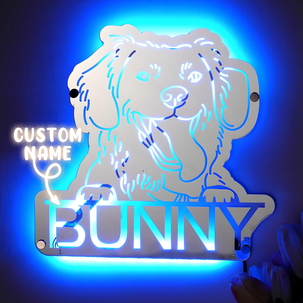 Pet Portrait Mirror Night Light