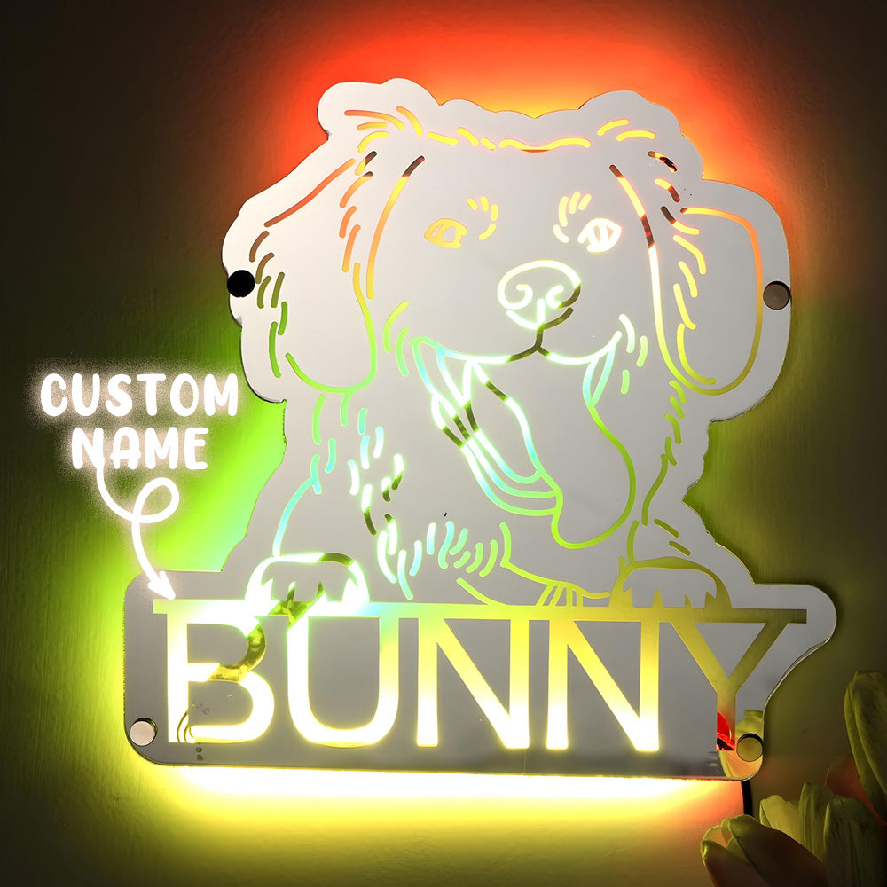 Pet Portrait Mirror Night Light