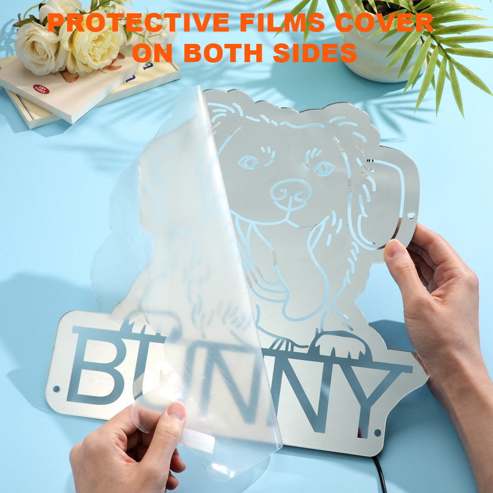 Pet Portrait Mirror Night Light