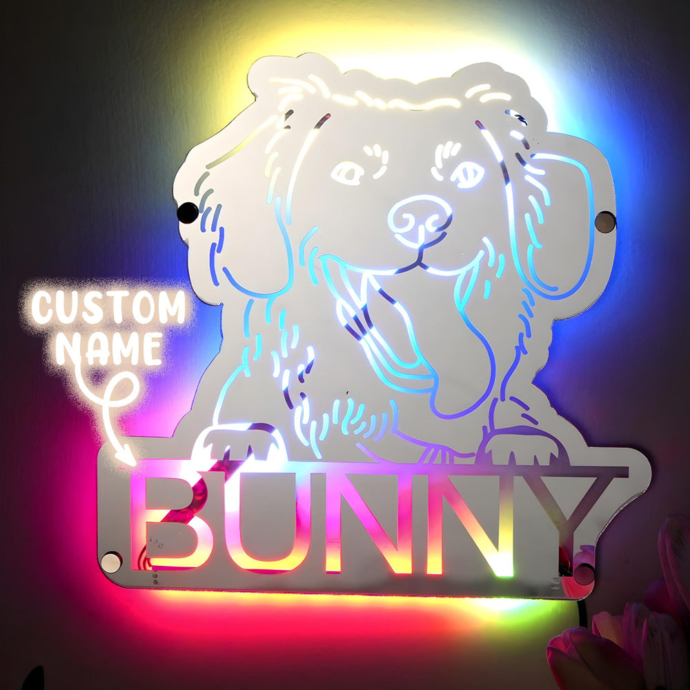 Pet Portrait Mirror Night Light