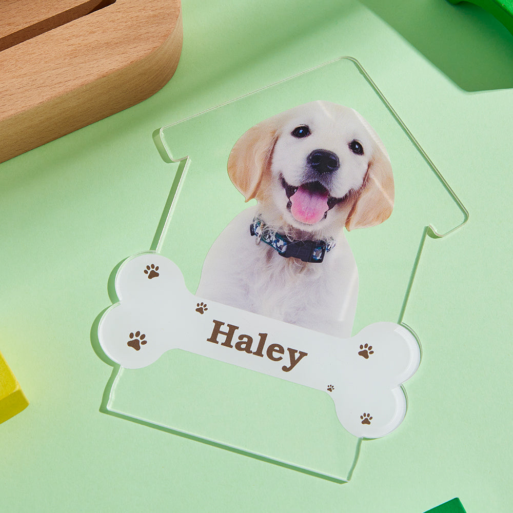 Engraved Puppy Photo Night Light