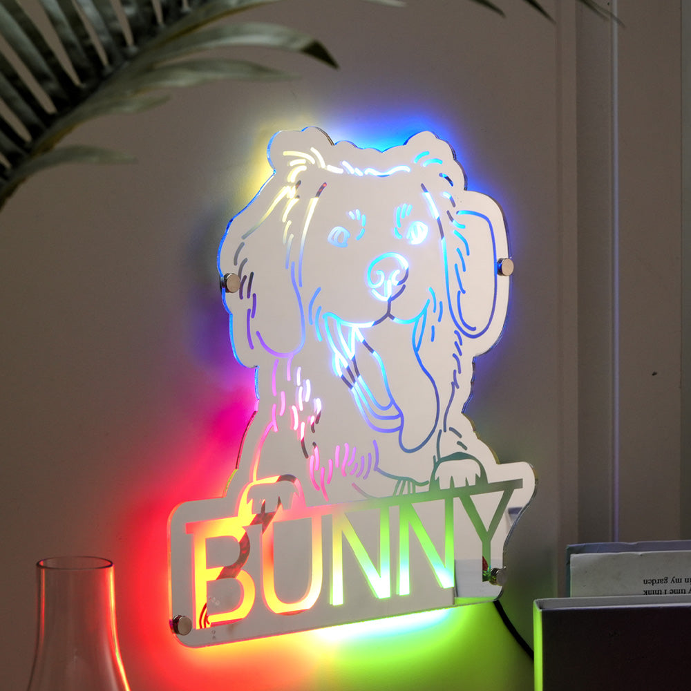 Pet Portrait Mirror Night Light