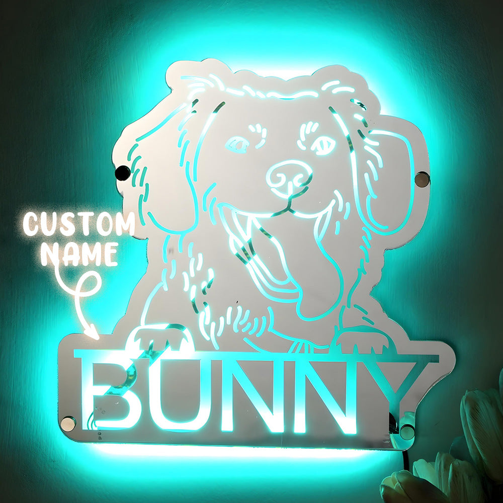 Pet Portrait Mirror Night Light